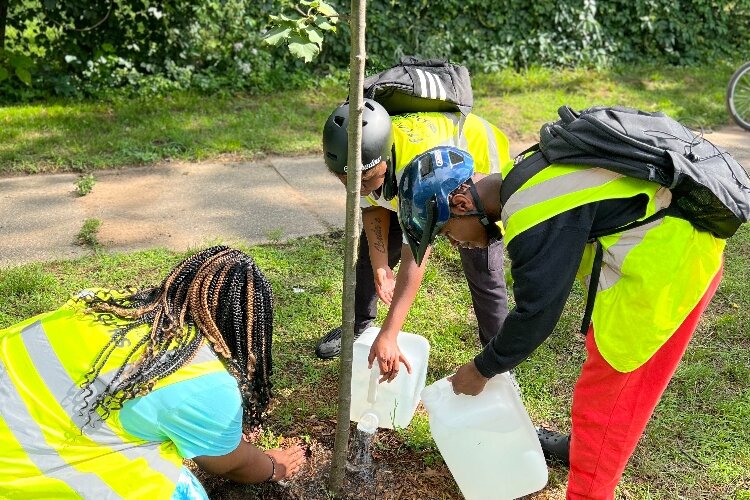 Keymareeah King, Corda'e Woods, and Adrian Jones complete a job during their work for Friends of Grand Rapids Parks — part of the Ascend Summer Youth Career Readiness program.