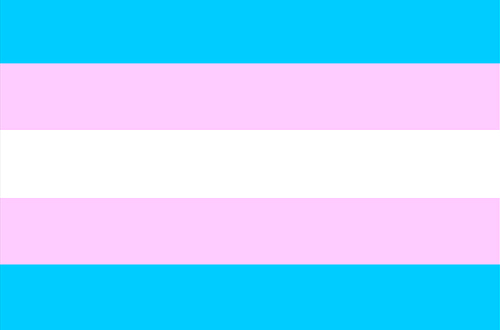Transgender Day of Visibility: Stories of Stealth, Activism, and Positivity