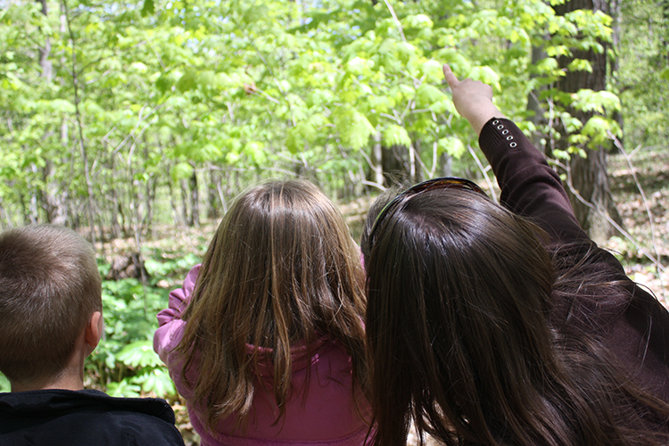 Tours at Blandford Nature Center educate children on the importance of natural vegetation.
