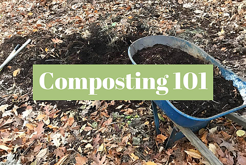 Composting 101: Sustainability series returns to Grand Rapids