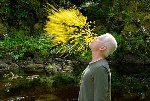 Leaning into the Wind: Andy Goldsworthy returns to the big screen