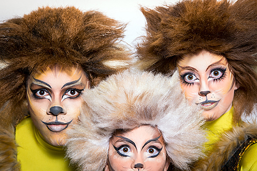 'Cats': Grand Rapids' Circle Theatre launches season with beloved Broadway hit