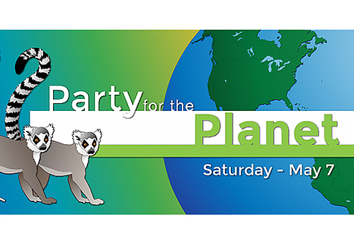 Party for the Planet: Hands up and on deck for the earth's creatures