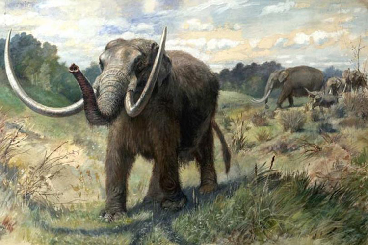Illustration of a mastodon in Michigan.