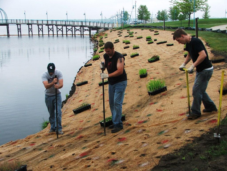 Shoreline restoration at Muskegon Lake