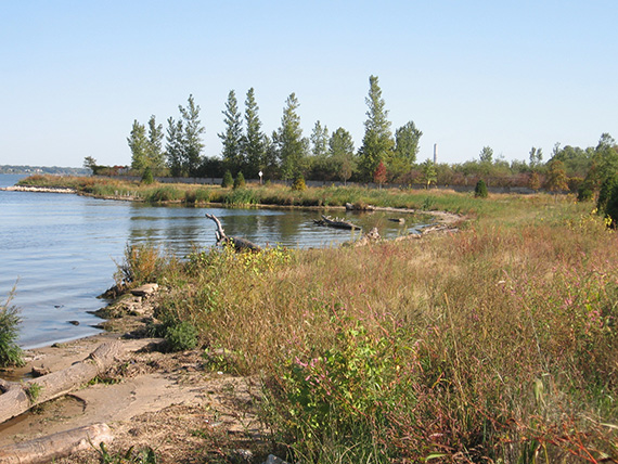 Restored wetland at Ruddiman Creek near Muskegon Lake.