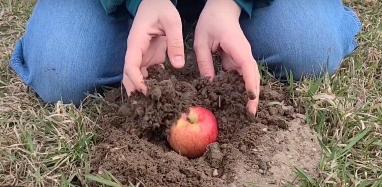 Grand Rapids teens’ short film Apples depicts local food insecurity with minimal visuals and maximum impact.