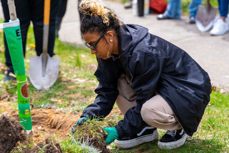  Volunteer planting a tree at ArborFest 2024, photo by Tiffany Fant (Mo'Photography LLC).