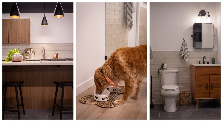 This collage highlights the various features of Bissell's “The Experience.”          Ask ChatGPT