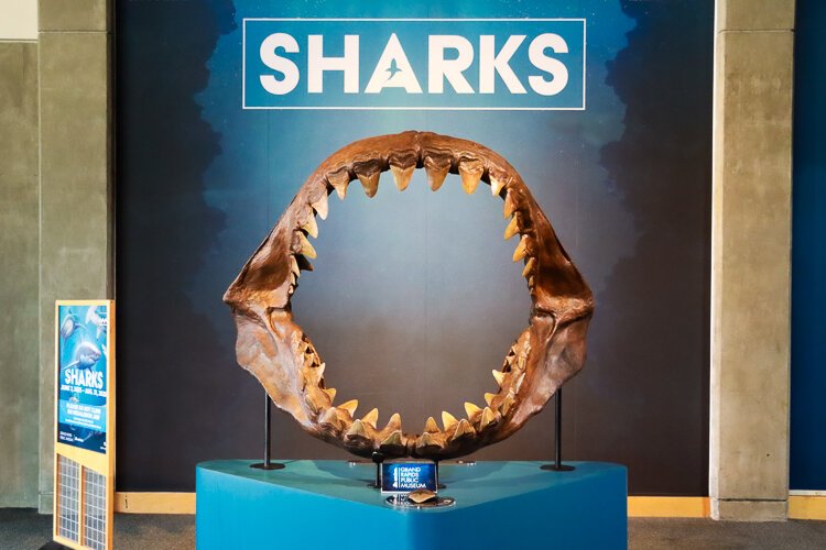 Entry to the Sharks exhibition at the Grand Rapids Public Museum.