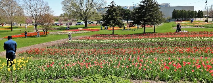 The visitors were few and far between at Window on the Waterfront Park during the first weekend of the cancelled festival.