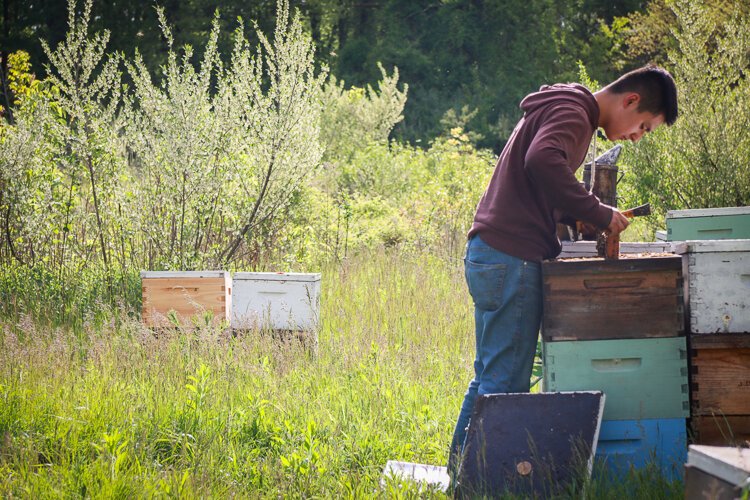 The ritual of care is an important reason why Zack's Bees are happy ones. 
