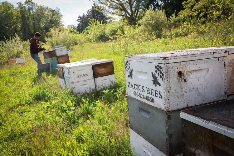 Bees are vital to Michigan's agriculture and a critical link to future food production on Earth. 