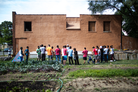 Refugees come to learn and work in the garden. 