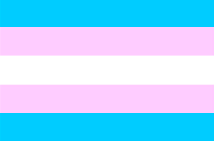 Transgender Day of Visibility: Stories of Stealth, Activism, and Positivity