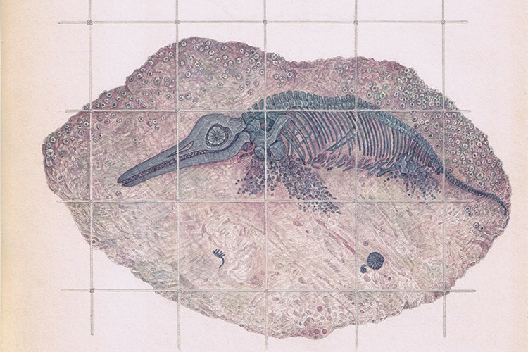 Ends of the Earth: New work by Todd Freeman
