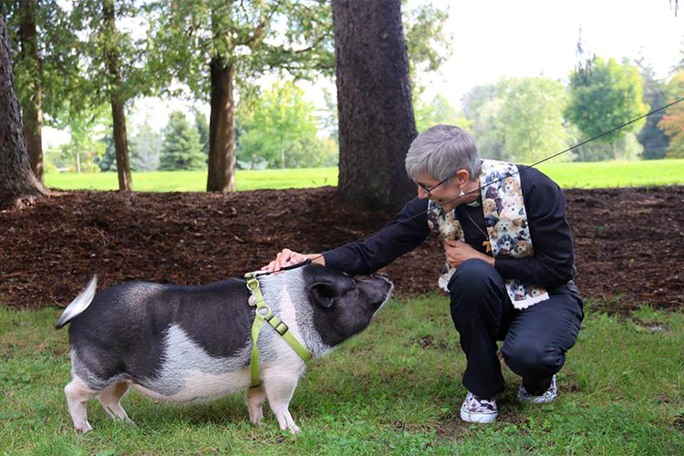 Animal Blessing 2017 in the Garden of St. Francis of Assisi: Furry or not, all welcome