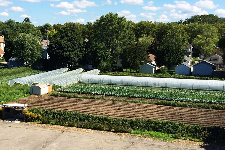 new city farm
