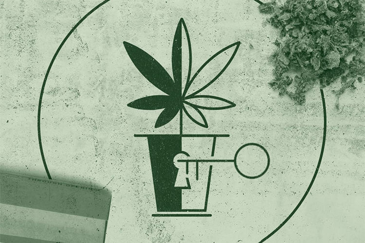 Capitalizing On Medical Cannabis: Leveling the playing field