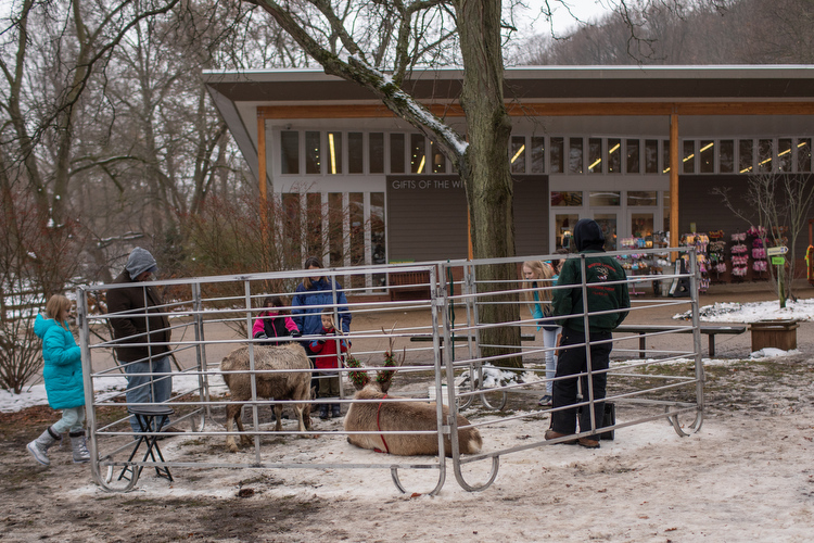 Kids check out reindeer at the entrance to the John Ball Zoo. 