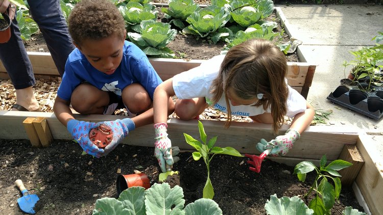 CDC students in the community garden.