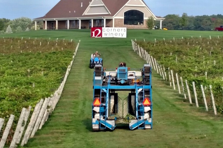 At 12 Corners Winery