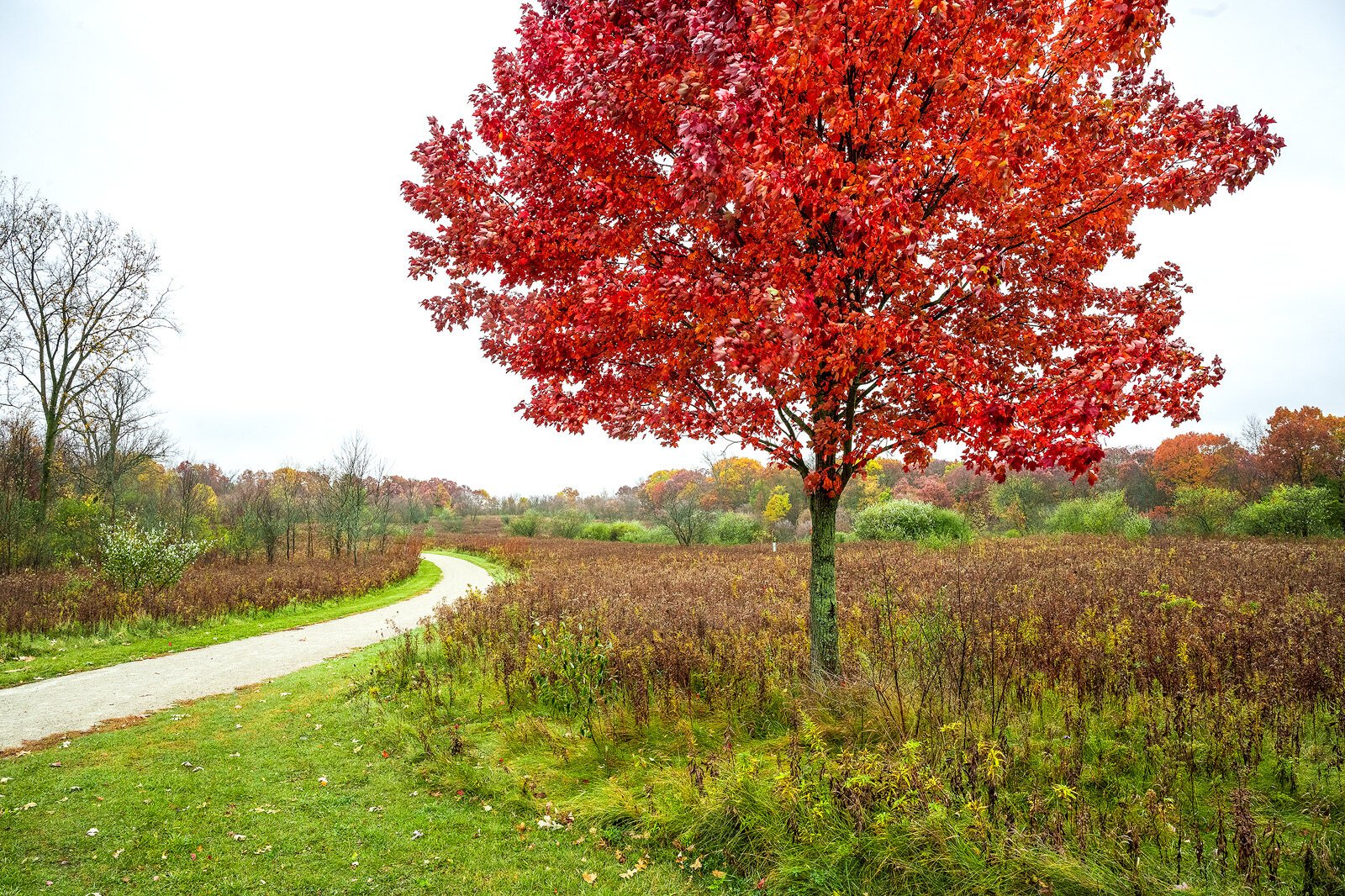 Bear Creek Nature Park. Photo by Doug Coombe.