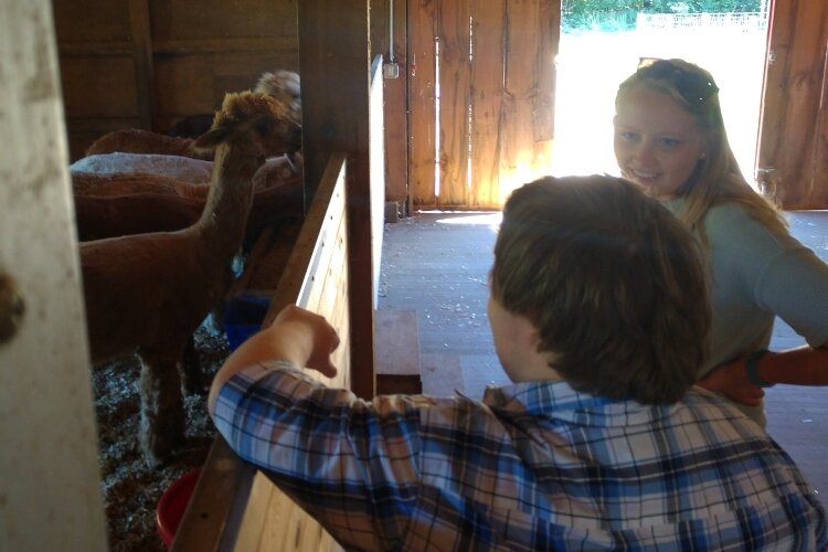 Benjamin's Hope staffer Anna Irvin talks with a NEXT program participant in the campus' barn.