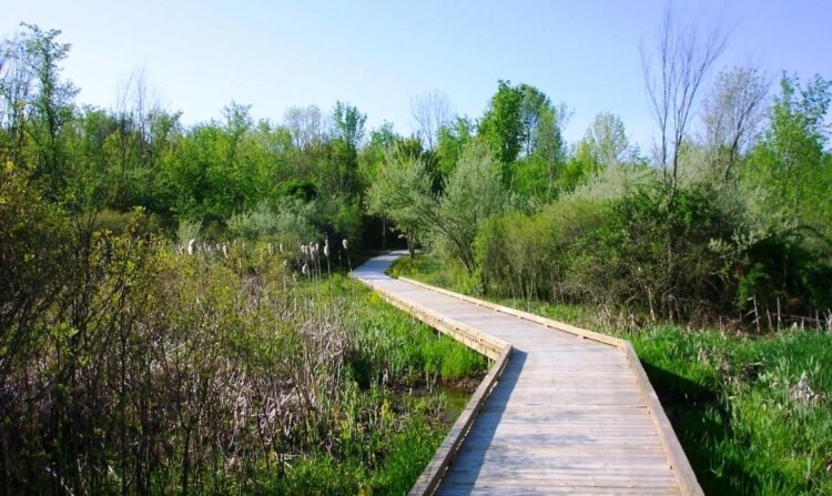 Bysterveld Park is an ADA-accessible park in Dorr.