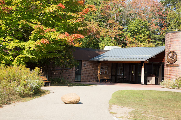 Chippewa Nature Center. Photo by Nina Ignaczak