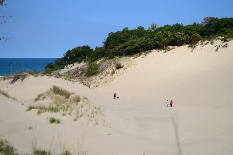 Warren Dunes State Park. Photo by Mark Wedel.