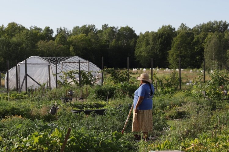 Kathleen Smith works her plot at KBIC’s Peoples Garden. (Rachael Pressley)