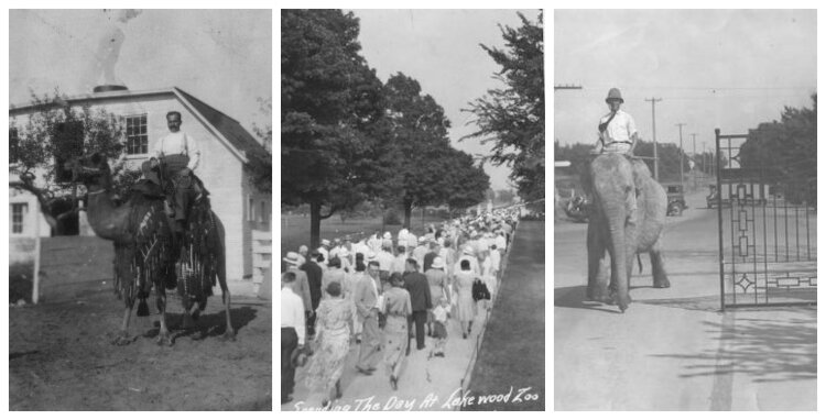 This collage shows a few of the exotic animals that resided at the Getz Zoo and the crowds they drew. 