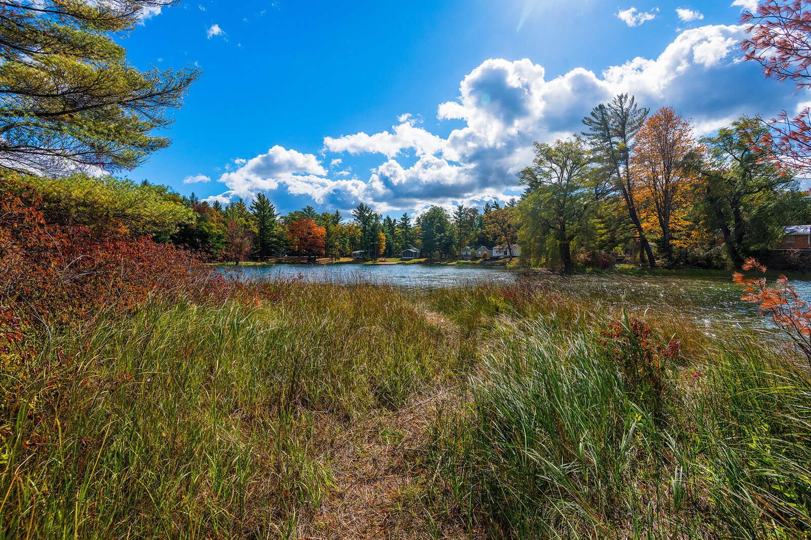 Idlewild Access Park Photo by Doug Coombe.