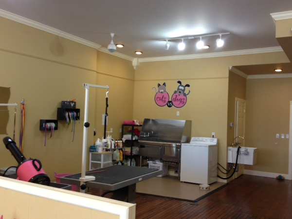 dog grooming salon