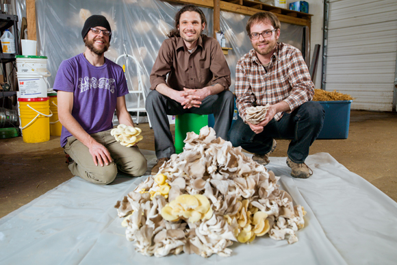 From left, Josh Kruis, Trever Clark and Richard Marmion.