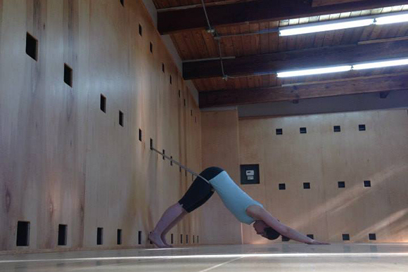 DNyogastudio