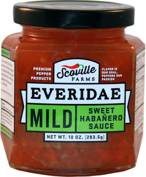 DNscoville