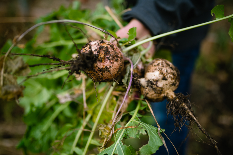 “Whatever we harvest from the garden, we eat in the childcare center,” says Al Macki.