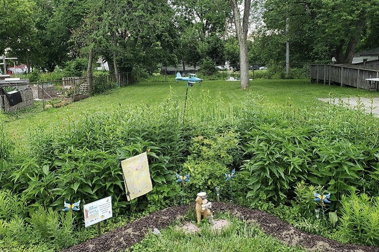 Loretta Powell took photos of her gardens for the photovoice project.