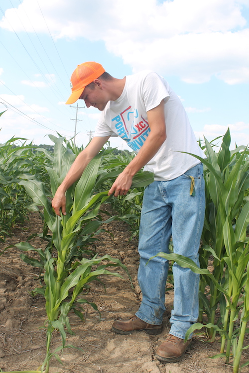 A student in the Associate of Applied Science in Business (Agricultural Operations) program at Glen Oaks Community College.