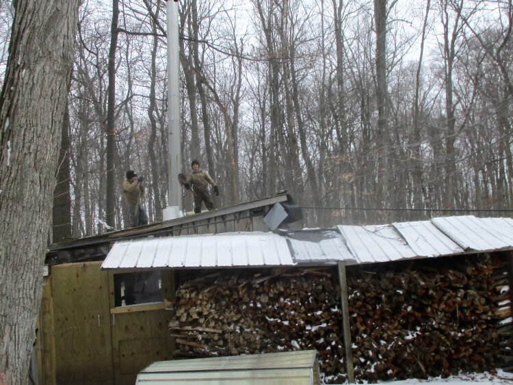 Six cords of wood are needed annually to cook the Stoller's sap collection down to syrup.