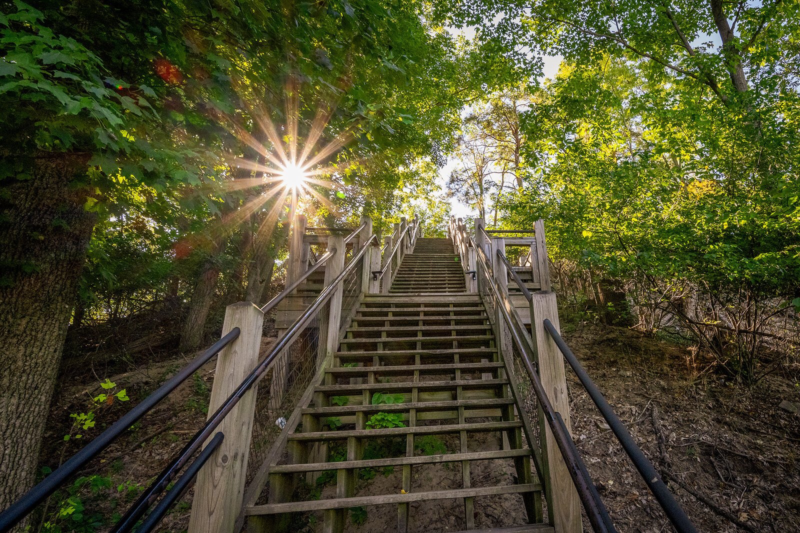 Mount Baldhead. Photo by Doug Coombe.