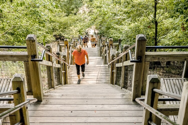 Mount Baldhead's 302 wooden steps take you to the top of a wooded dune, where you will look out over Saugatuck, Douglas, the Kalamazoo River and Lake Michigan. (Photo by Craig Watson)