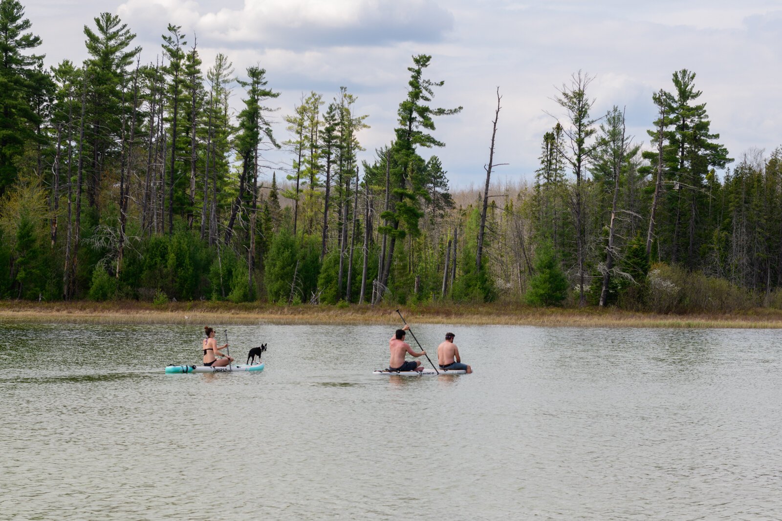 Pickerel Lake