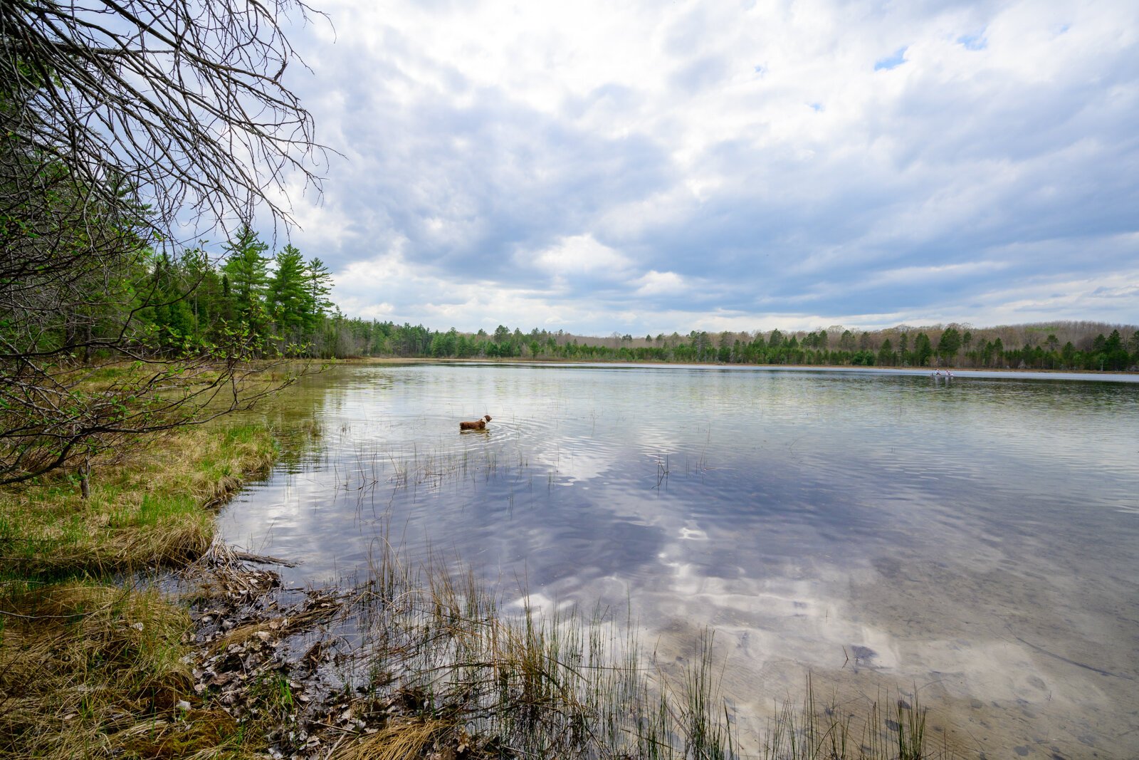 Pickerel Lake