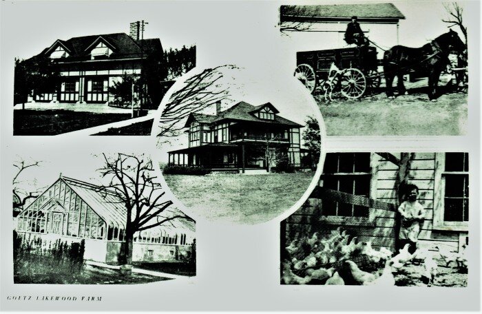 This historic postcard shows the buildings that occupied George Getz's Lakewood Farm. (Holland Museum)