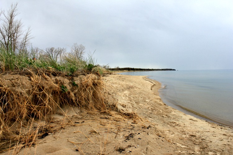 Dunes in Port Austin