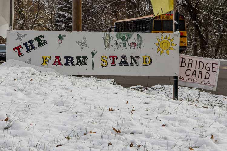 Sprout in Battle Creek operates a farm stand to make food access easier for Battle Creek residents.