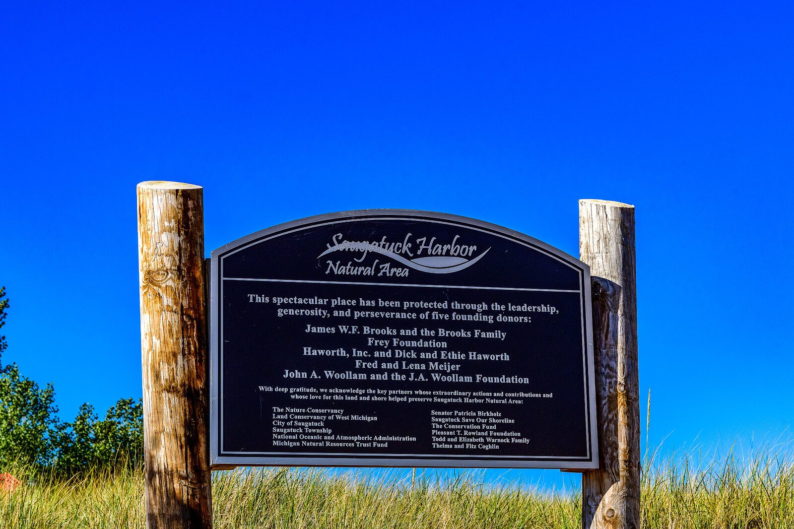 Saugatuck Harbor Natural Area. Photo by Doug Coombe.